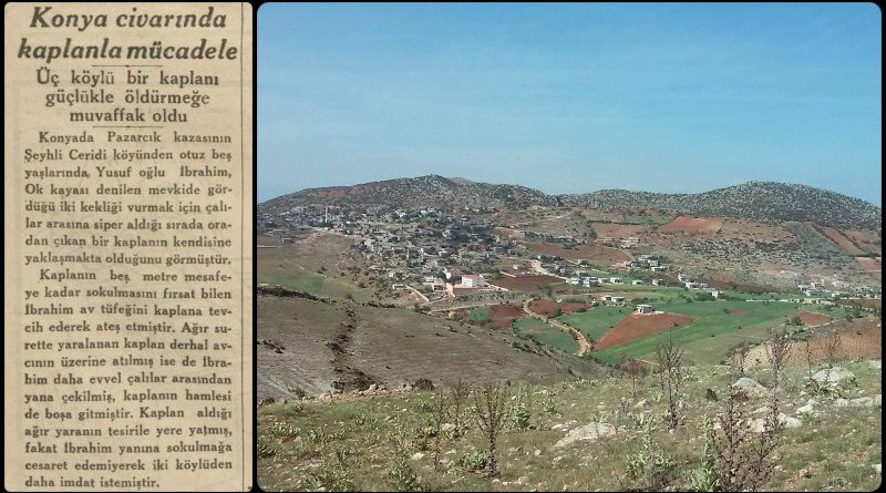 27 Mayıs 1934 - Akşam Gazetesi Pazarcık Şeyhlicerit köyü Kaplan Haberi