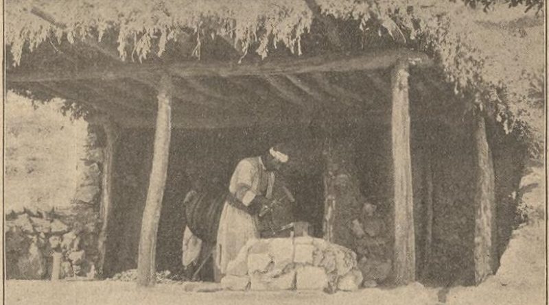 1904 Yılında Yavşan’dan Demrek’e Yolculuk